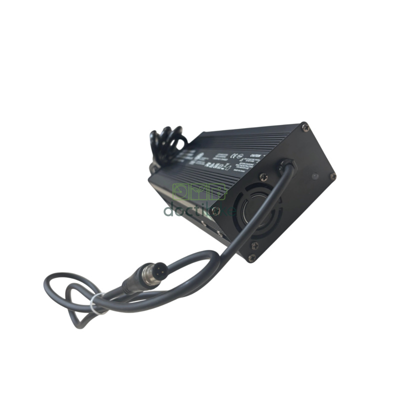 Batteria compatibile per bicicletta RAD POWER - 48 V 20 Ah (caricabatterie incluso)