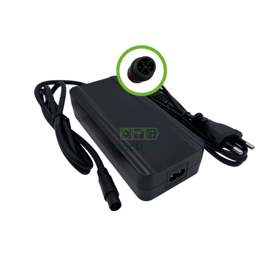 Caricabatterie da 36 V (42 V) per batteria Wayscral Takeaway (YJ071003)