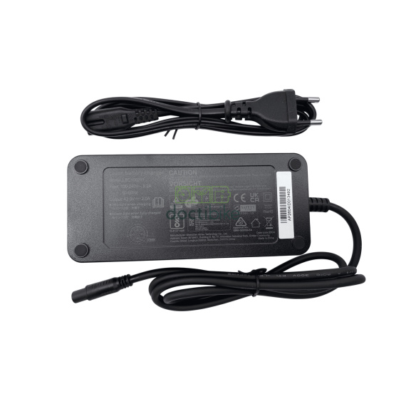 36V (42V) Charger for Wayscral Takeaway Battery (YJ071003)
