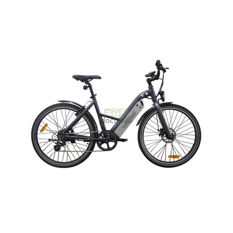 Batterie Reconditionnement WATTOO WattSpeed 36V 8Ah