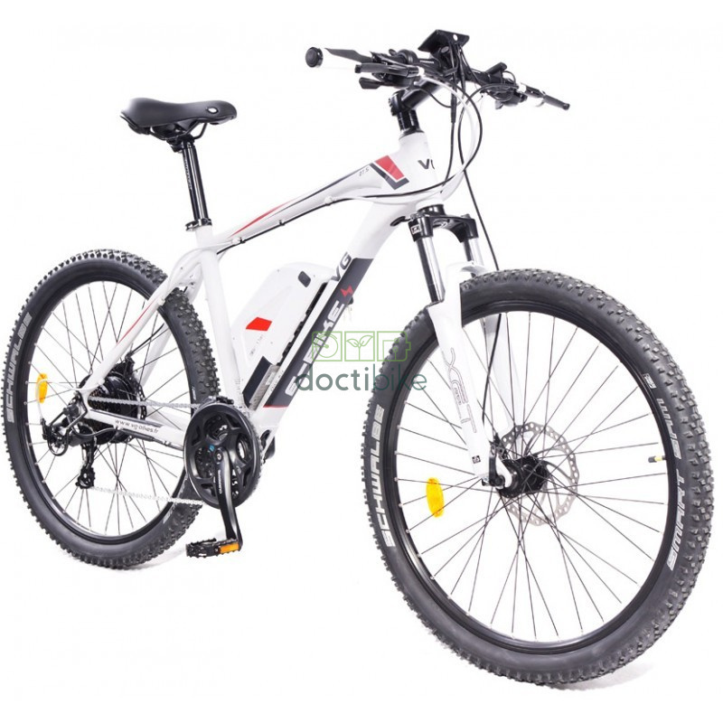 Akku Reconditioning VOLTAGREEN 36V 11Ah