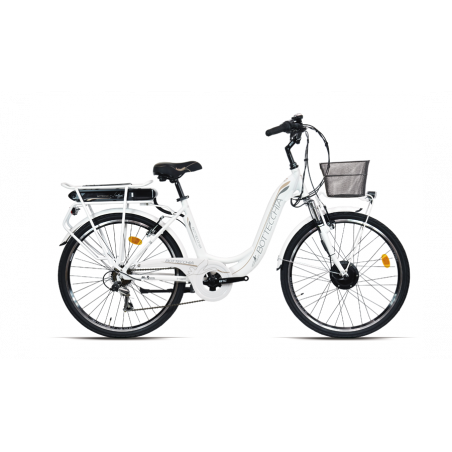 Batterie Reconditionnement BOTTECCHIA BE-11 36V 10Ah