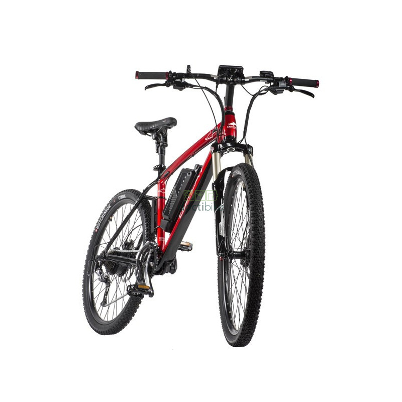 Akku Reconditioning FLYING CAT Mounty X2 / SR 48V 10.4Ah
