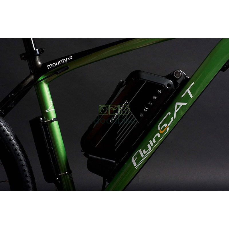 Batterie Reconditionnement FLYING CAT Mounty X2 / SR 48V 10.4Ah