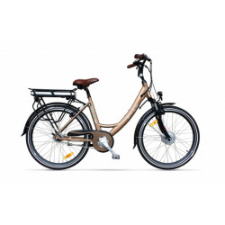 Batterie Reconditionnement EVEOBIKE Eveo 250 36V 10Ah