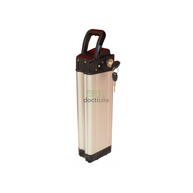 Akku City 1000 2-Pin 36V 10Ah