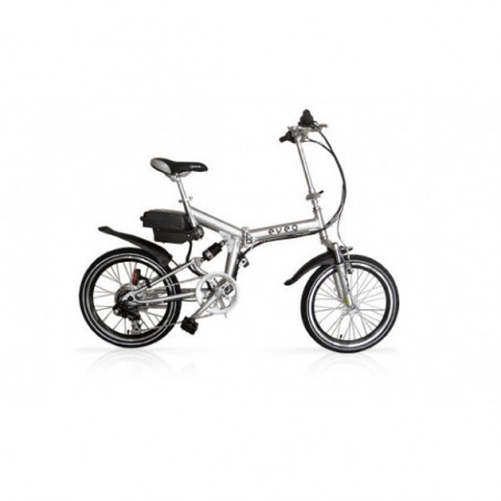 Battery Reconditioning EVEOBIKE Eveo 120 24V 6,4Ah (Folding 2013)