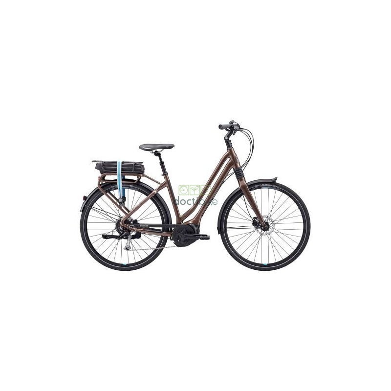 Akku Reconditioning GIANT Prime 36V 10Ah