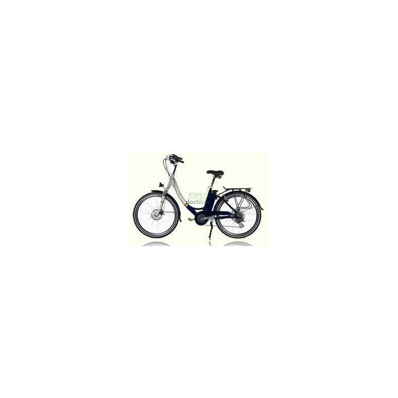 Batterie Reconditionnement Cyclovert Le Lys 24V 10Ah