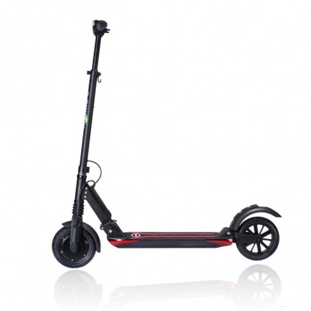 Batterie Reconditioning ETWOW Scooter Booster V