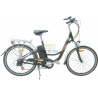 Reacondicionamiento de la batería EASYBIKE Street 2009 24V 8Ah