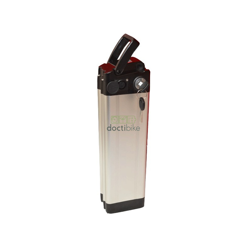 Batería DODANE 36V