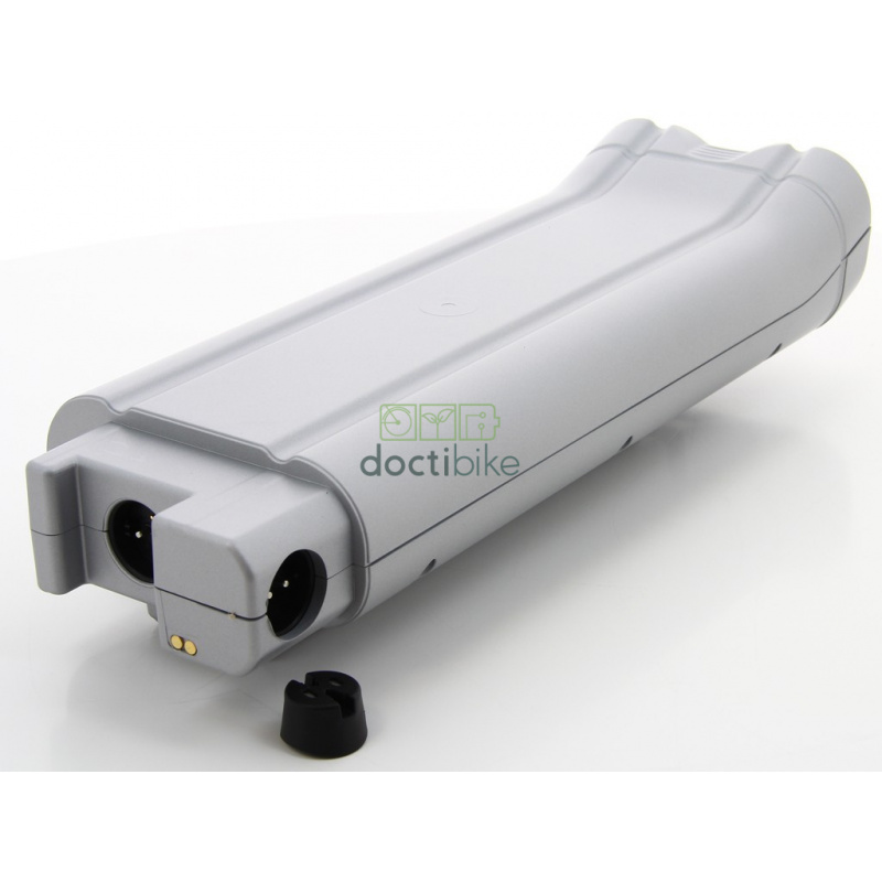 Batterie Go Swiss Drive Porte-Bagage 36V 13Ah 2011