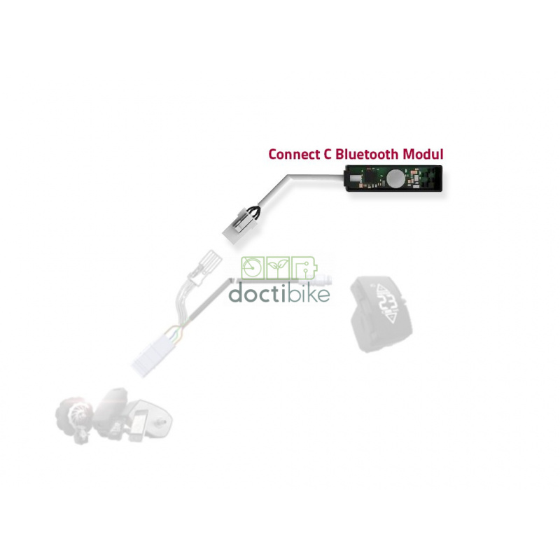 Connect C Bluetooth Module pour Rotwild