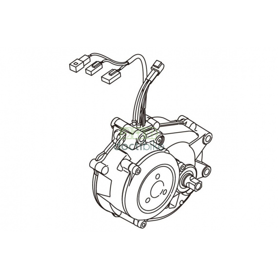 Engine YAMAHA PW Series TE 2019