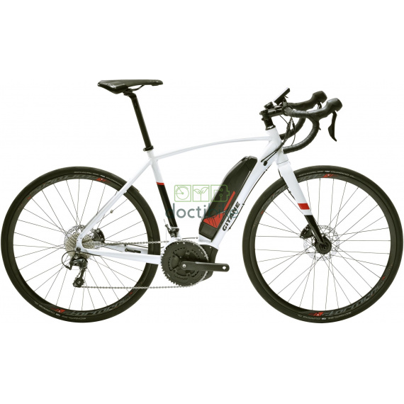 Engine YAMAHA PW Series TE 2019