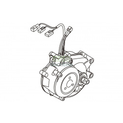 Engine YAMAHA PW Series TE 2019