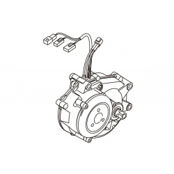 Motor YAMAHA PW Series TE 2019 Motor YAMAHA PW Series TE 2019