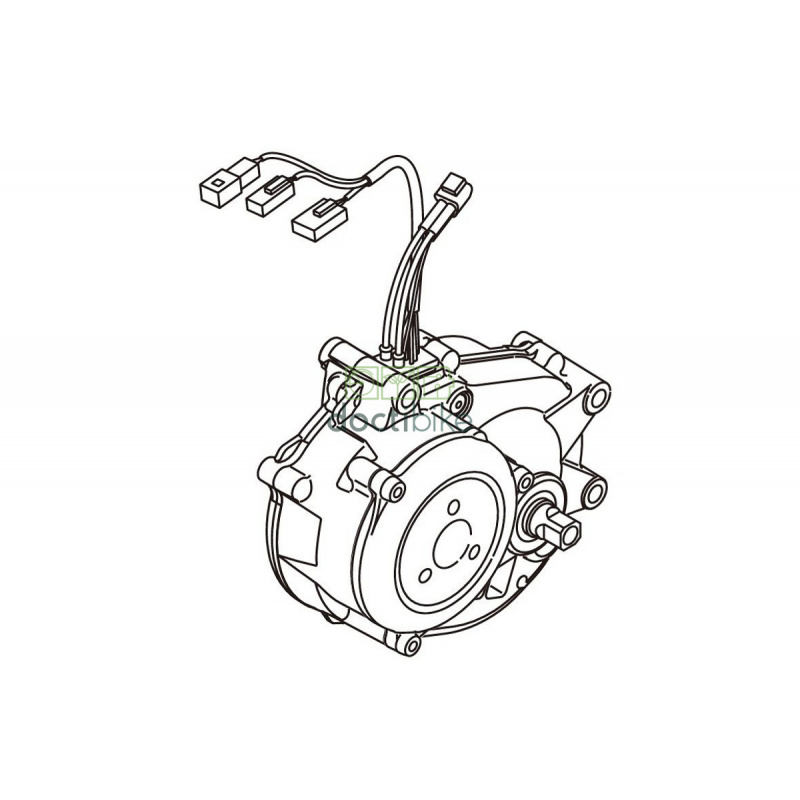 Moteur YAMAHA PW Series TE 2019