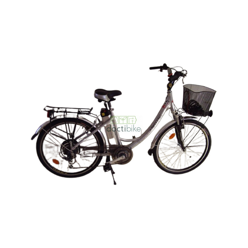 Reacondicionamiento de la batería FORERUNNER E-Times City 24V 8Ah