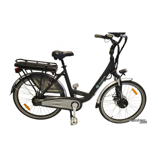 HOT Bicycle Wayscral Flexy 215 36V 2A CARGADOR Para