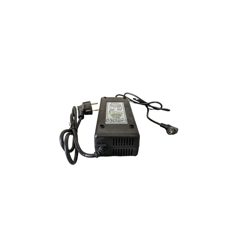 Cargador de iones de litio 24V2A - Punta RCA
