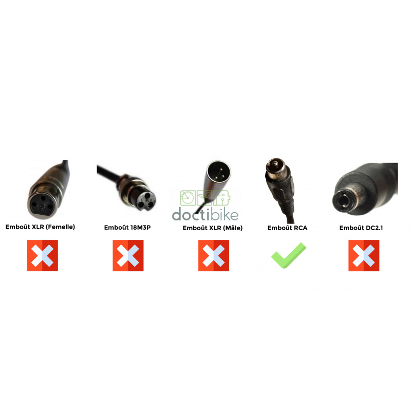 Chargeur Lithium Ion 24V2A - Embout RCA