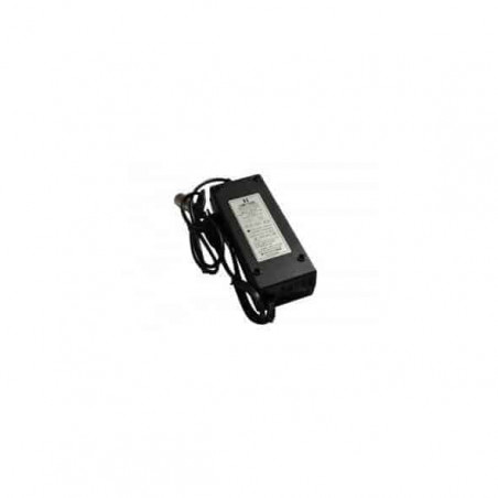 Lithium Ion 36V2A charger for electric bicycle battery - Jack (DC2.1)