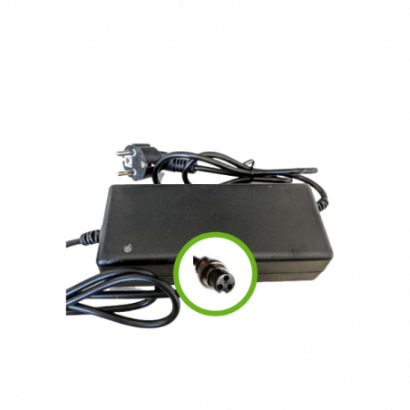 Cargador de iones de litio 36V2A para baterías de bicicletas eléctricas - Boquilla 18M3P