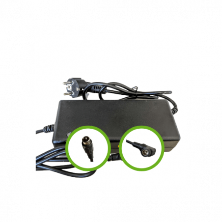 Chargeur Lithium Ion 48V2A pour batterie de vélo électrique - RCA