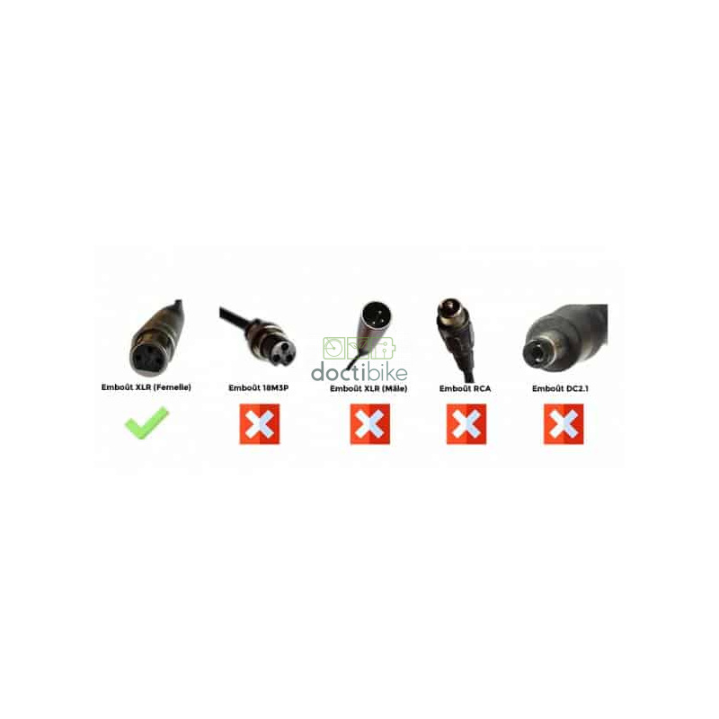 Chargeur Lithium Ion 48V2A pour batterie de vélo électrique - Embout XLR Femelle