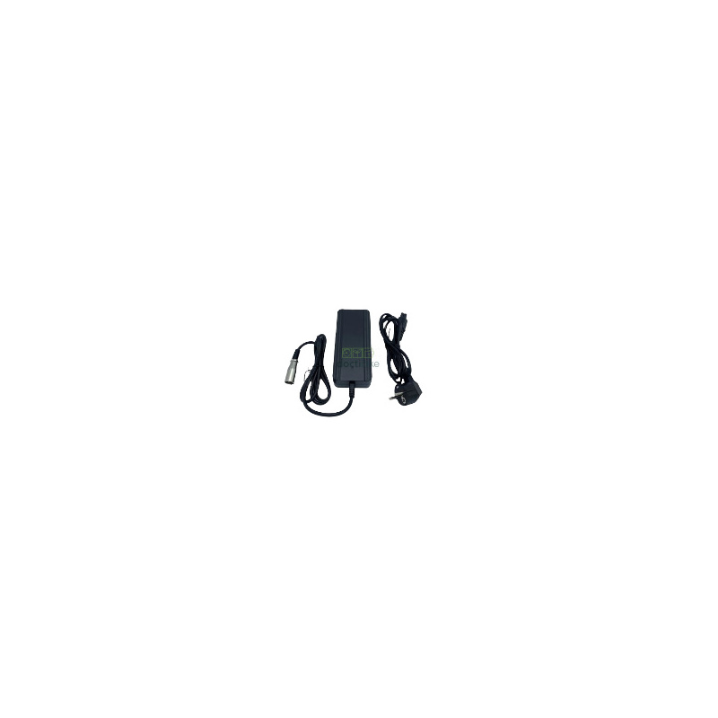 Batterie Giant Twist 36V 13A