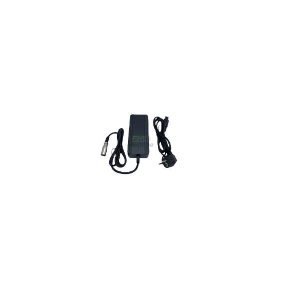 Batterie Giant Twist 36V 13A