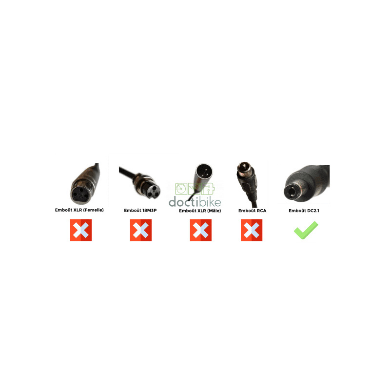 Chargeur Lithium Ion 48V2A pour batterie de vélo électrique - Embout Jack (DC2.1)