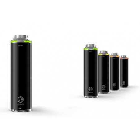Batterie Pendix ePower 300wh 48V