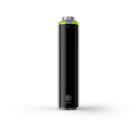 Batterie Pendix ePower 500wh 48V
