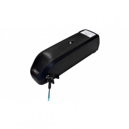 Batterie Multi-marque Compatible Hailong 48V 11.6Ah