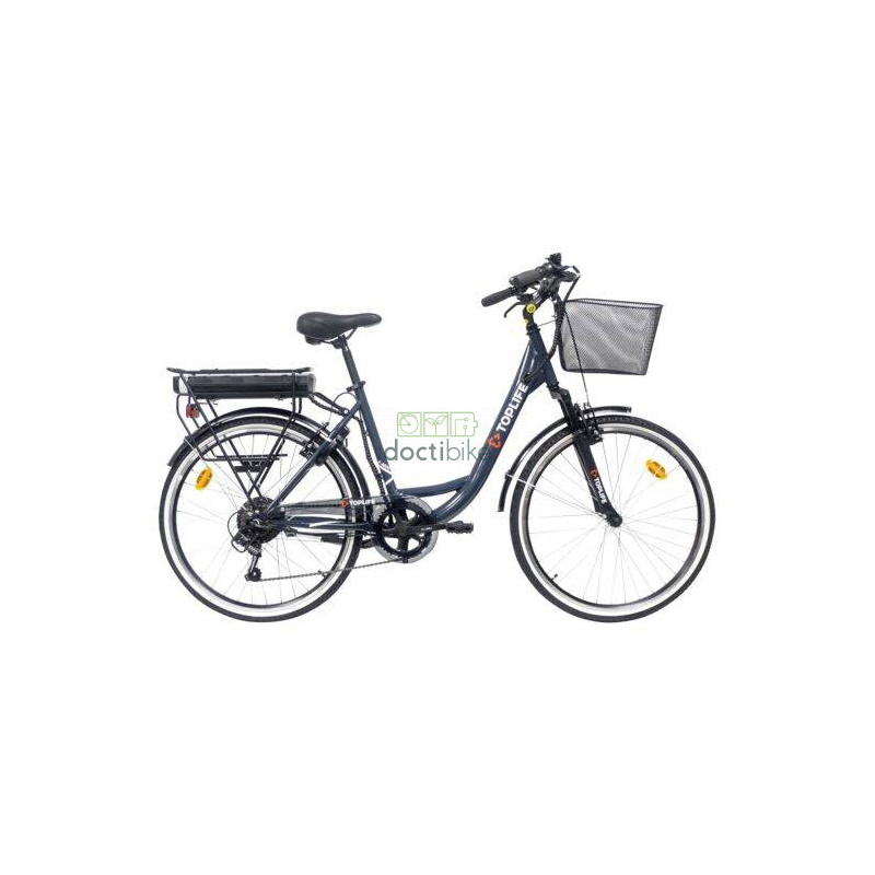 Wiederaufarbeitung  Akku Toplife E4600