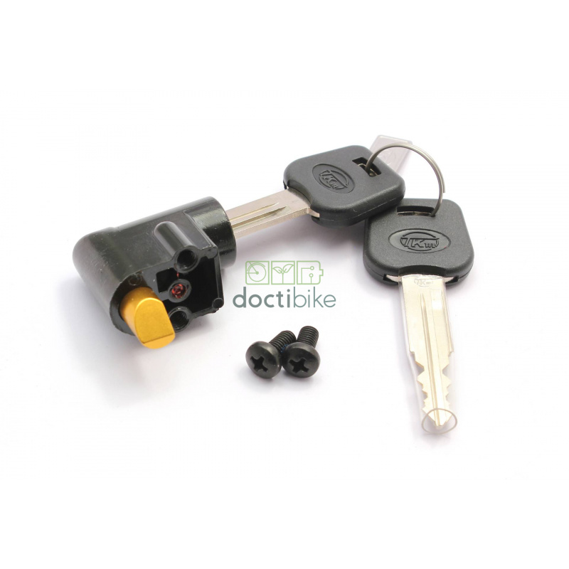 Serrure de batterie pytes Arcade x2 clefs LG70