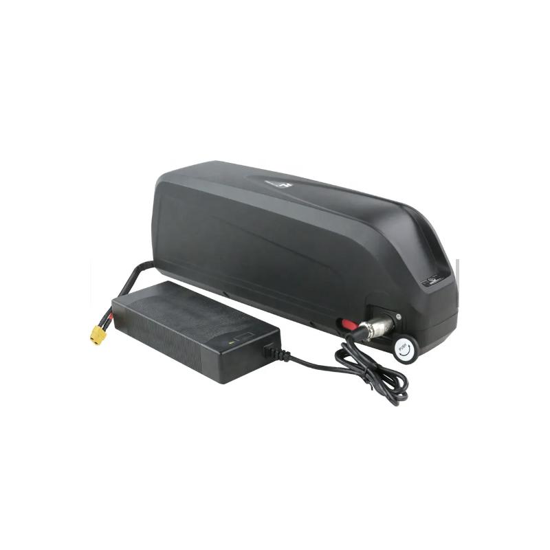 Hailong Plus 36V20Ah Multi-Marken-Akku (inkl. Ladegerät)
