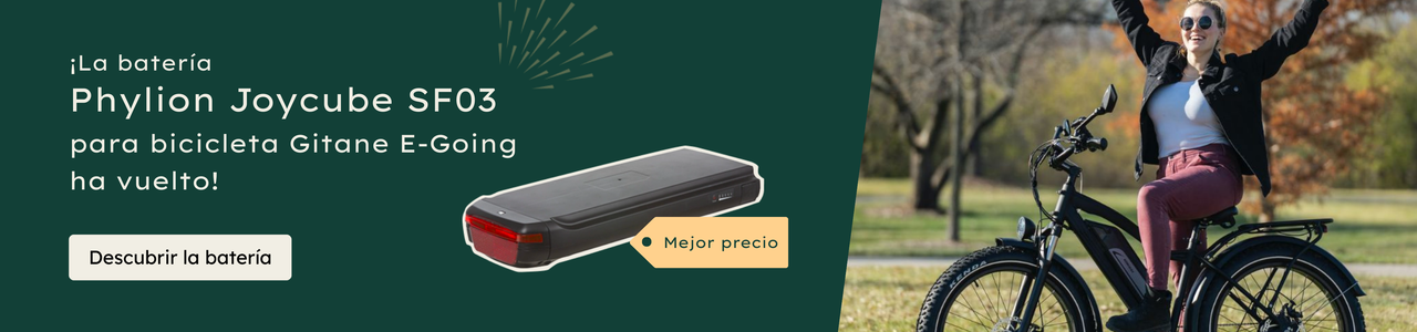 ¡Batería Phylion Joycube SF03 - 36V 11Ah